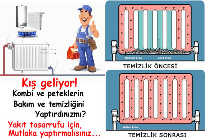 şentepe-petek-temizleme